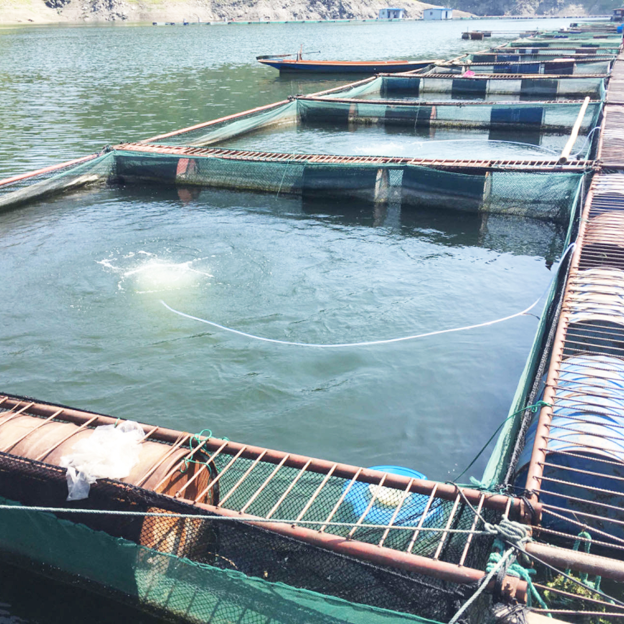 ��������������ֳ����