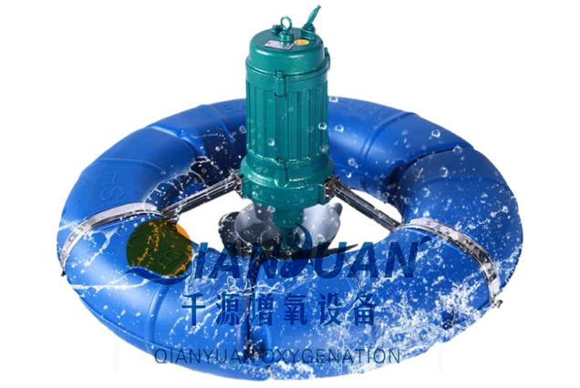 ����ʽ������