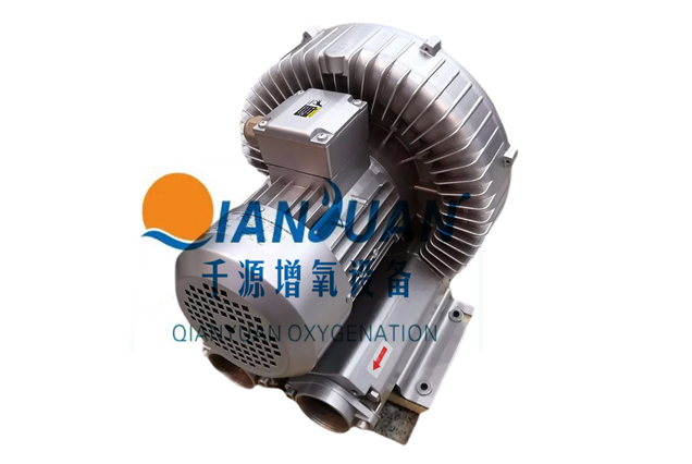 �������з�� 